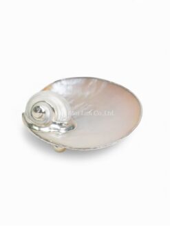 Glossy Mother Of Pearl Caviar Plate (1)