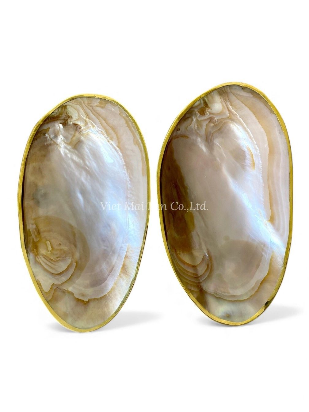 Gold Rim Mother Of Pearl Seashell Dish (1)