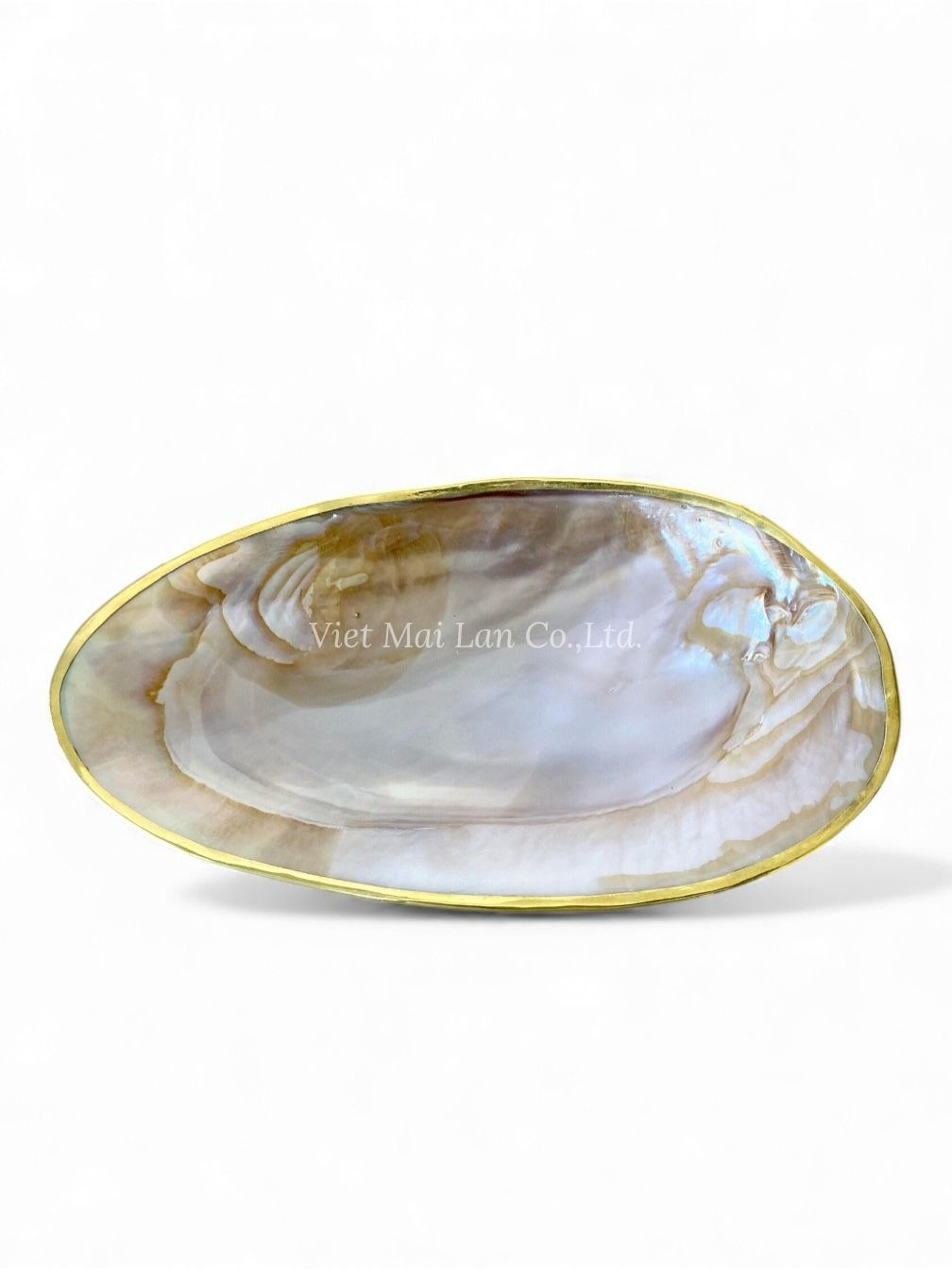 Gold Rim Mother Of Pearl Seashell Dish (2)