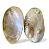 Gold Rim Mother Of Pearl Seashell Dish (3)