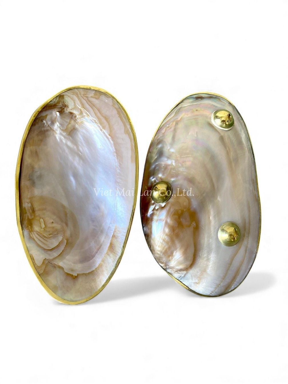 Gold Rim Mother Of Pearl Seashell Dish (3)