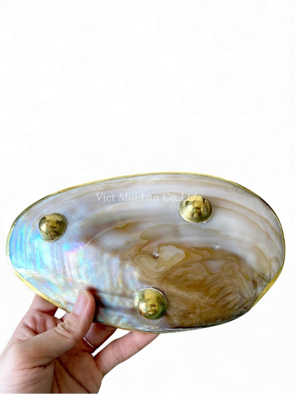 Gold Rim Mother Of Pearl Seashell Dish (4)