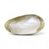 Golden Edge Mother Of Pearl Seashell Dish (2)