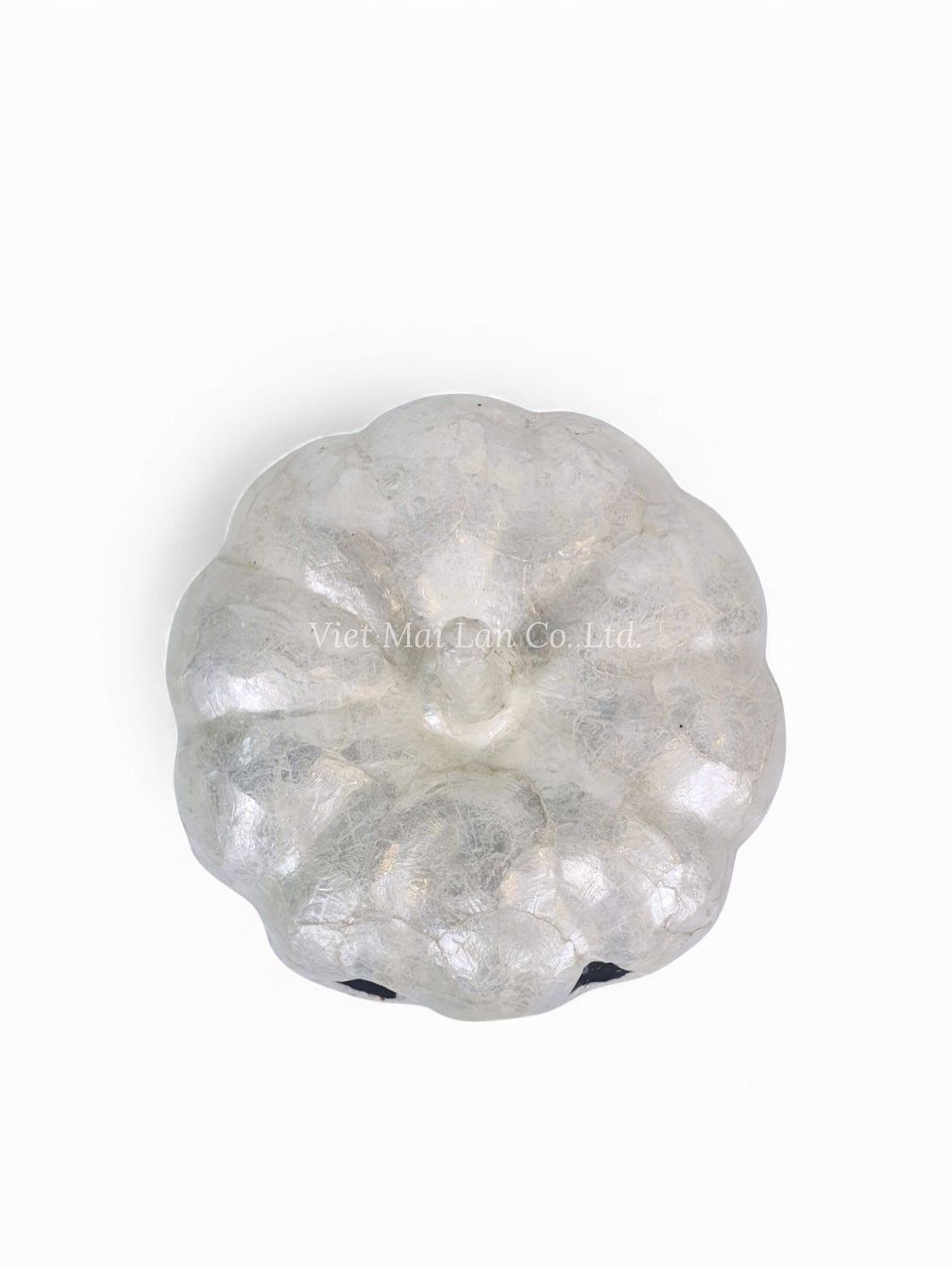 Handmade Lacquer Pumpkin (1)