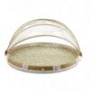 Light Green Shell Food Cover (3)