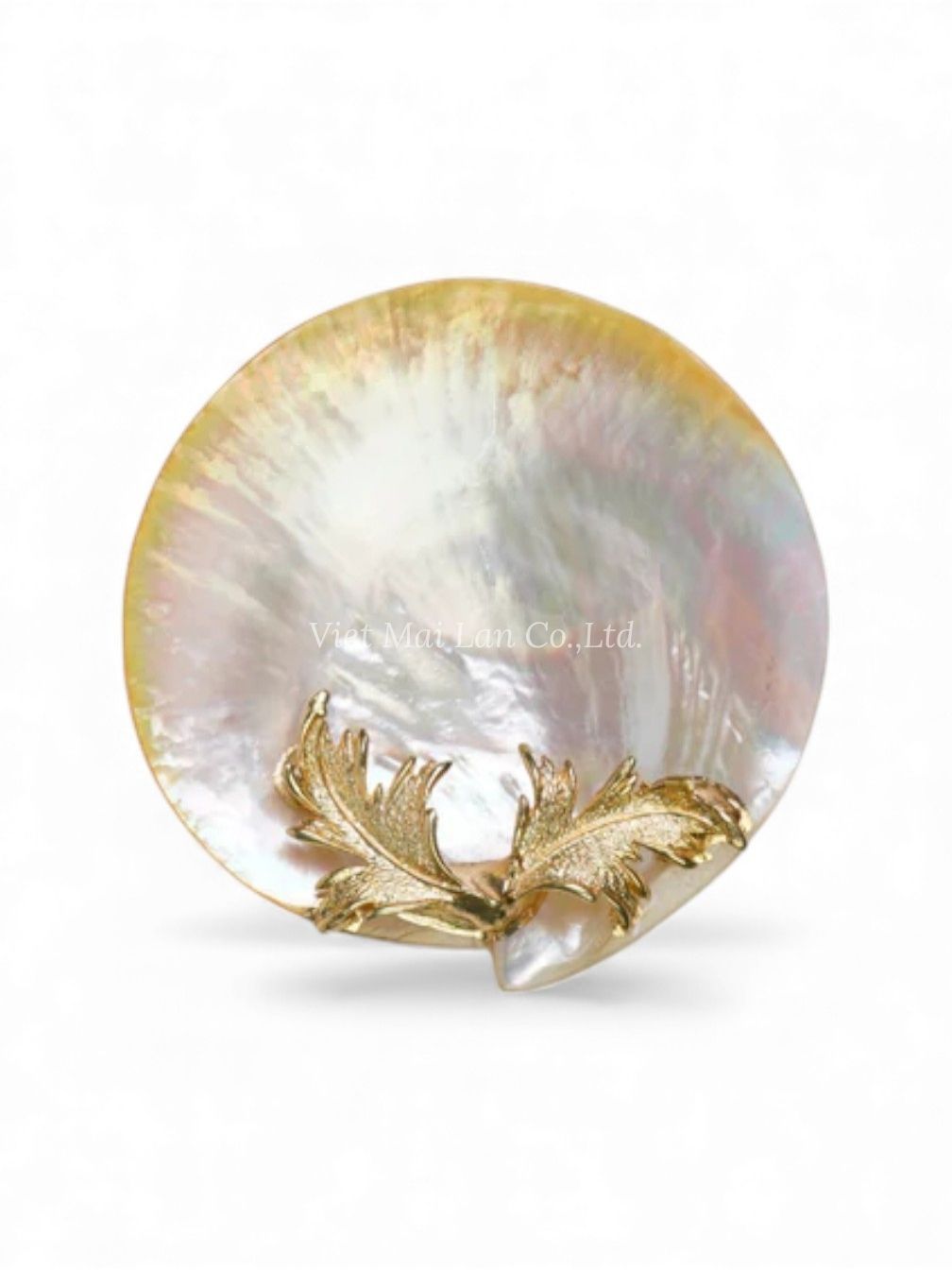 Luxury Mother Of Pearl Caviar Plate (2)