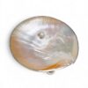 Mother Of Pearl Caviar Plate (1)