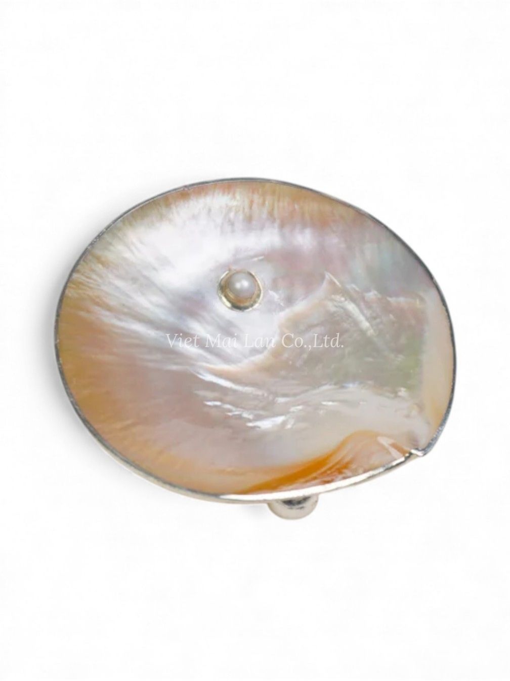 Mother Of Pearl Caviar Plate (1)