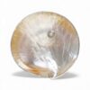 Mother Of Pearl Caviar Plate (2)