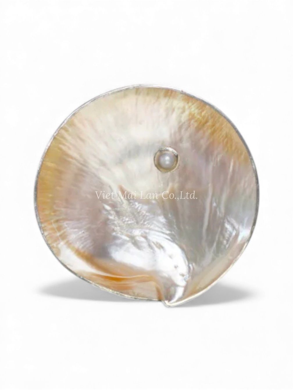 Mother Of Pearl Caviar Plate (2)