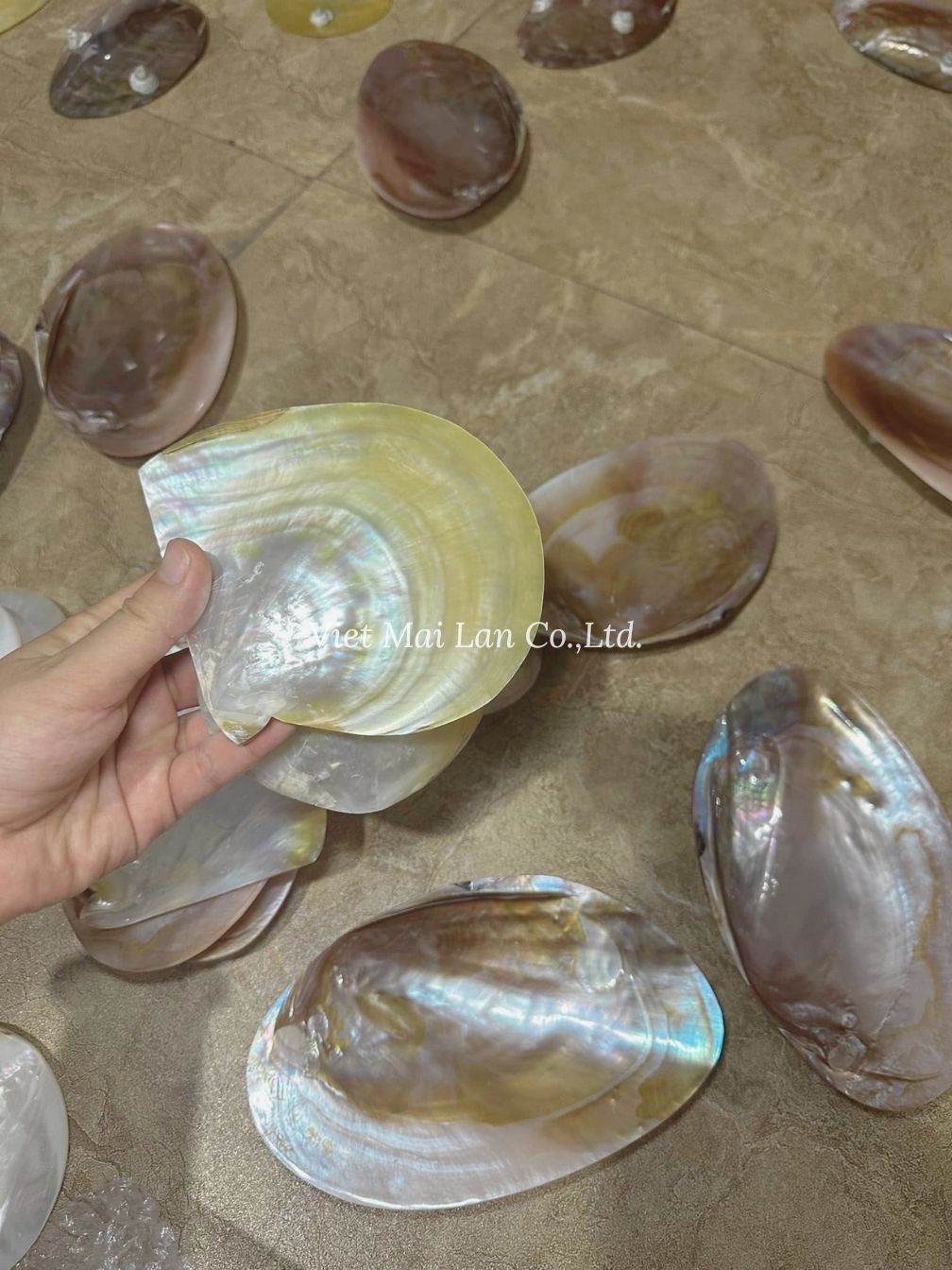 Mother Of Pearl Caviar Plates