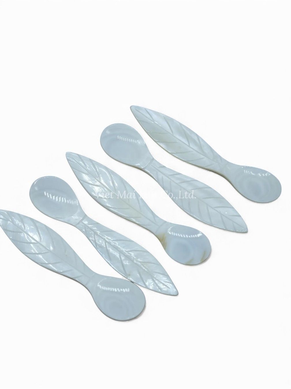 Mother Of Pearl Caviar Spoon Gift Set (1)