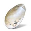 Mother Of Pearl Seashell Dish For Jewelry (1)