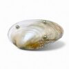 Mother Of Pearl Seashell Dish For Jewelry (3)