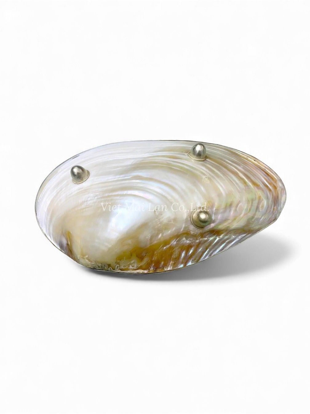 Mother Of Pearl Seashell Dish For Jewelry (3)