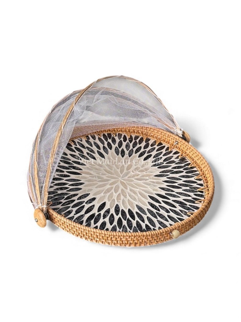 Natural Shell Food Cover With Rattan (2)