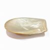 Polished Mother Of Pearl Caviar Plate (2)