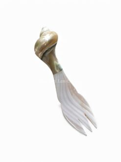 Polished Mother Of Pearl Fork (2)