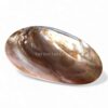 Polished Mother Of Pearl Seashell Dish (1)
