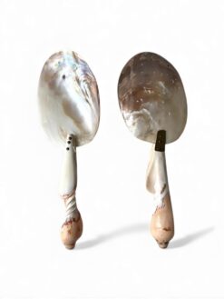 Premium Quality Mother Of Pearl Spoon (1)