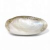 Silver Edge Mother Of Pearl Seashell Dish (1)