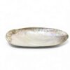 Silver Edge Mother Of Pearl Seashell Dish (2)
