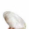 Silver Edge Mother Of Pearl Seashell Dish (3)