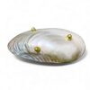 Silver Edge Mother Of Pearl Seashell Dish (4)