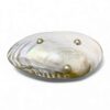 Silver Rim Mother Of Pearl Seashell Dish (3)