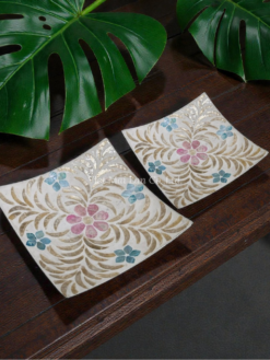 Bright Mother Of Pearl Plate (2)