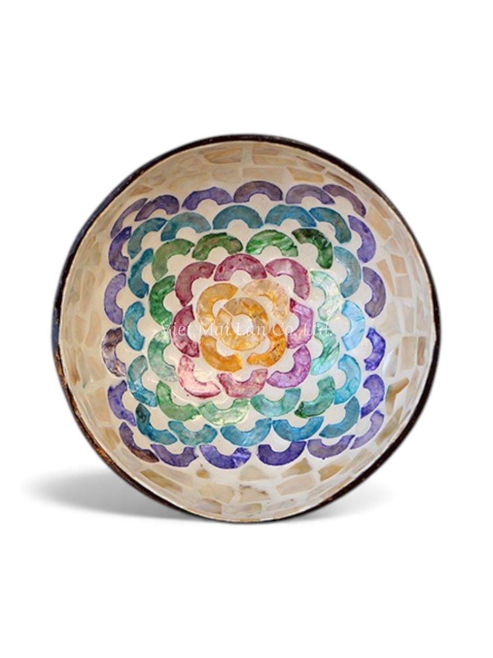 Colorful Mother Of Pearl Coconut Bowl (2)