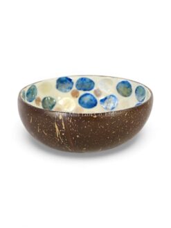 Glossy Blue Mother Of Pearl Coconut Bowl (1)