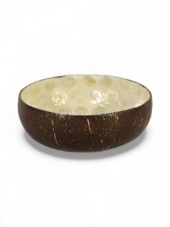 Glossy White Mother Of Pearl Coconut Bowl (2)