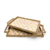 Handcrafted Mother Of Pearl Tray With Water Hyacinth (4)