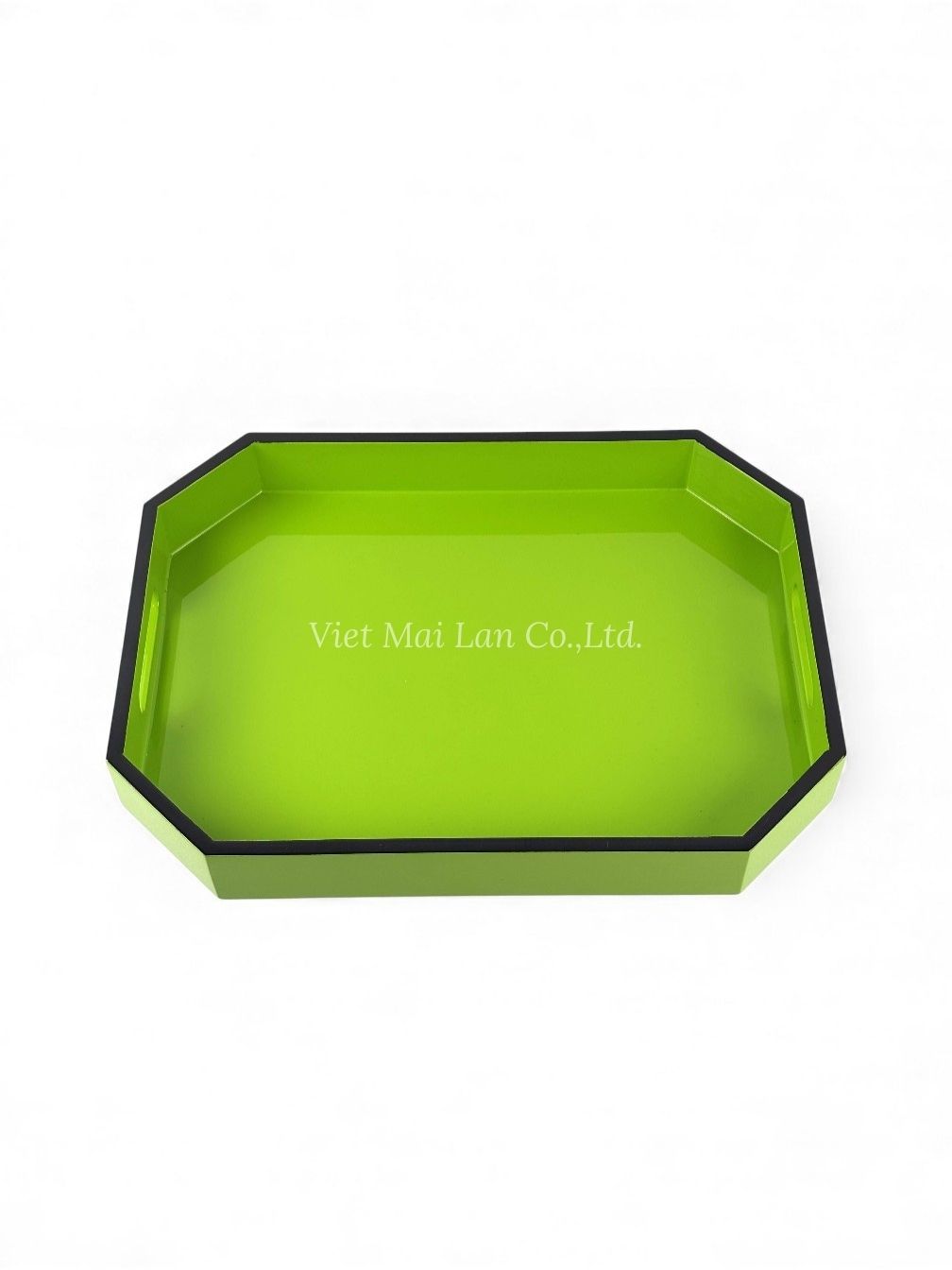Handmade Lacquer Tray (1)