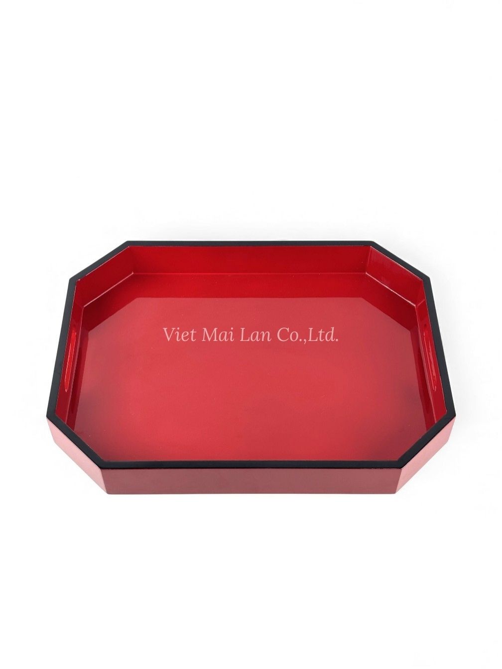 Handmade Lacquer Tray (2)