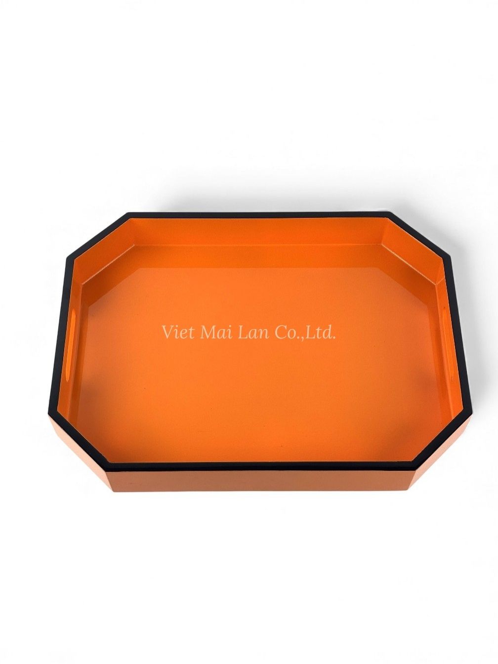 Handmade Lacquer Tray (3)