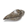 Natural Black Mother Of Pearl Snail Sculpture (2)