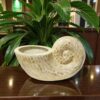 Natural Mother Of Pearl Snail Sculpture (1)