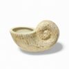 Natural Mother Of Pearl Snail Sculpture (2)