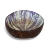 Purple Lacquer Coconut Bowl (1)