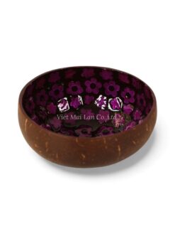 Purple Mother Of Pearl Coconut Bowl (1)