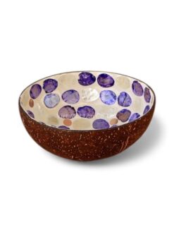 Purple Mother Of Pearl Coconut Bowl (3)